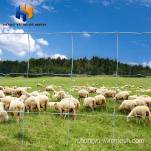 recinzione agricola di pecore e agricoltura di capra